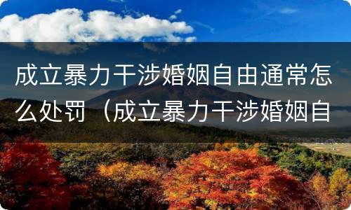成立暴力干涉婚姻自由通常怎么处罚（成立暴力干涉婚姻自由通常怎么处罚的）