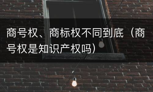 商号权、商标权不同到底（商号权是知识产权吗）