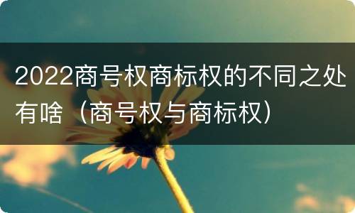 2022商号权商标权的不同之处有啥（商号权与商标权）