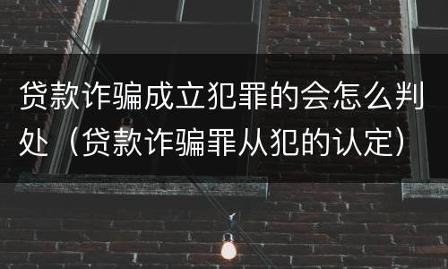贷款诈骗成立犯罪的会怎么判处（贷款诈骗罪从犯的认定）