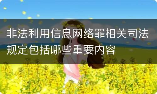 非法利用信息网络罪相关司法规定包括哪些重要内容