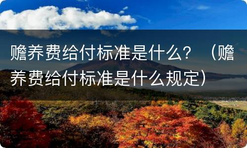 赡养费给付标准是什么？（赡养费给付标准是什么规定）