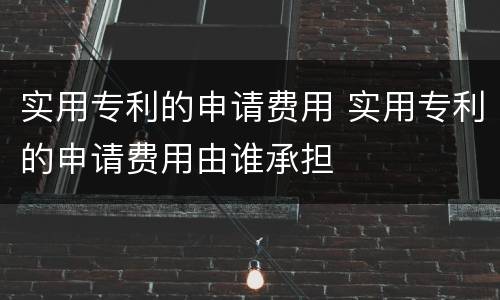 实用专利的申请费用 实用专利的申请费用由谁承担
