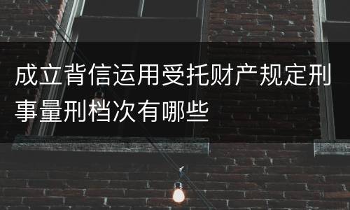 成立背信运用受托财产规定刑事量刑档次有哪些