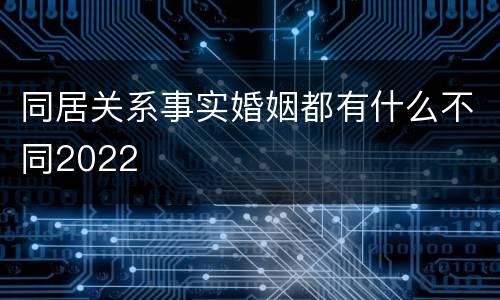同居关系事实婚姻都有什么不同2022