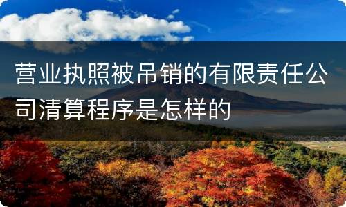 营业执照被吊销的有限责任公司清算程序是怎样的