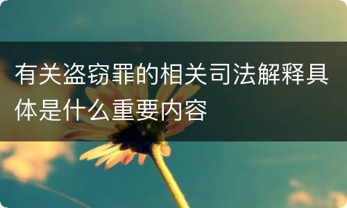 有关盗窃罪的相关司法解释具体是什么重要内容