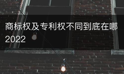 商标权及专利权不同到底在哪2022