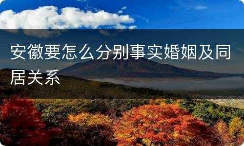 安徽要怎么分别事实婚姻及同居关系