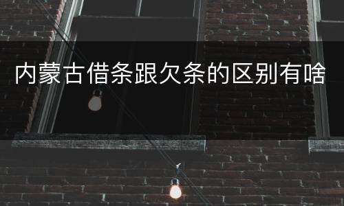 内蒙古借条跟欠条的区别有啥