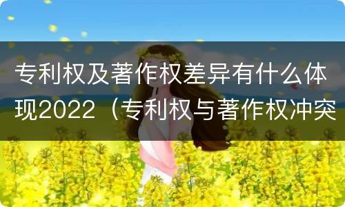 专利权及著作权差异有什么体现2022（专利权与著作权冲突）