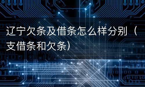 辽宁欠条及借条怎么样分别（支借条和欠条）