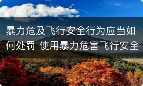 暴力危及飞行安全行为应当如何处罚 使用暴力危害飞行安全罪的主要特征