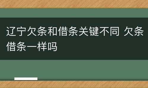 辽宁欠条和借条关键不同 欠条借条一样吗