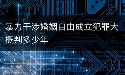 暴力干涉婚姻自由成立犯罪大概判多少年