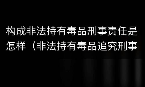 构成非法持有毒品刑事责任是怎样（非法持有毒品追究刑事责任吗）