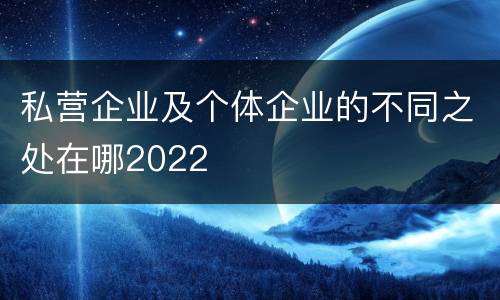 私营企业及个体企业的不同之处在哪2022