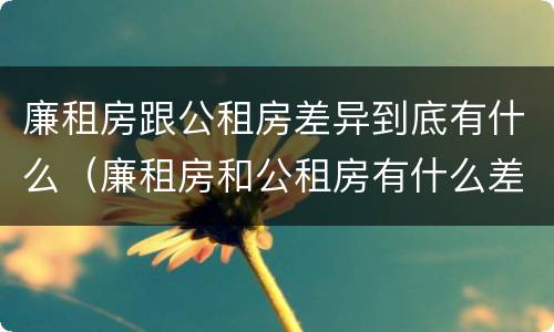 廉租房跟公租房差异到底有什么（廉租房和公租房有什么差别）