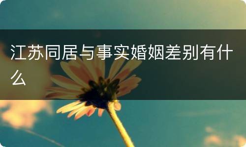 江苏同居与事实婚姻差别有什么