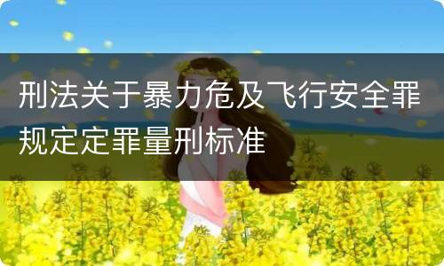 刑法关于暴力危及飞行安全罪规定定罪量刑标准