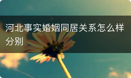 河北事实婚姻同居关系怎么样分别