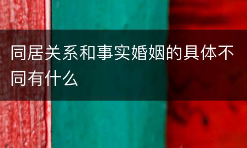 同居关系和事实婚姻的具体不同有什么
