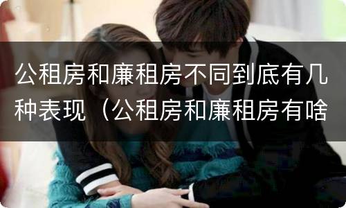 公租房和廉租房不同到底有几种表现（公租房和廉租房有啥不同）