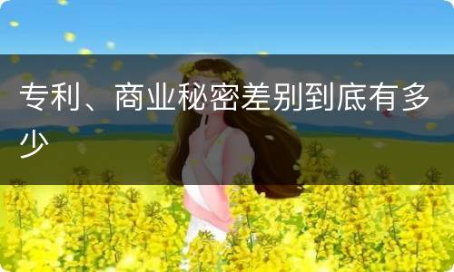 专利、商业秘密差别到底有多少