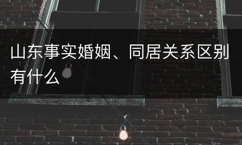 山东事实婚姻、同居关系区别有什么