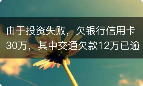 由于投资失败，欠银行信用卡30万，其中交通欠款12万已逾期将被起诉会不坐牢