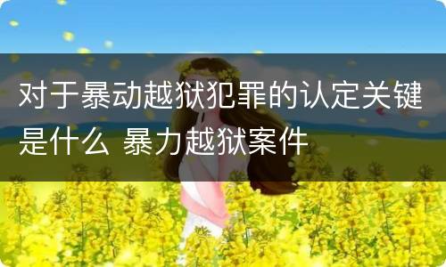 对于暴动越狱犯罪的认定关键是什么 暴力越狱案件