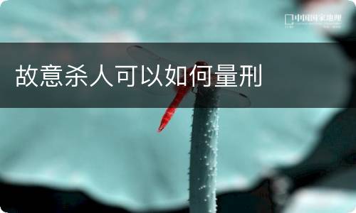 故意杀人可以如何量刑
