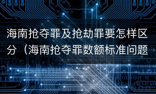 海南抢夺罪及抢劫罪要怎样区分（海南抢夺罪数额标准问题的规定）