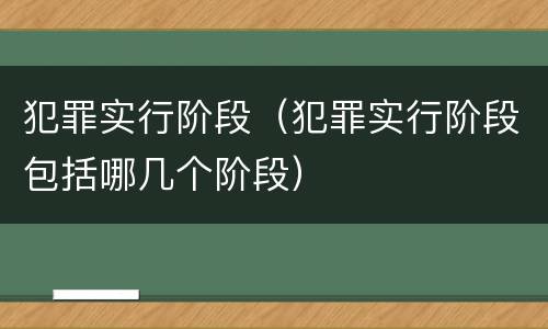 犯罪实行阶段（犯罪实行阶段包括哪几个阶段）