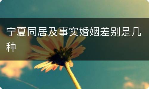宁夏同居及事实婚姻差别是几种