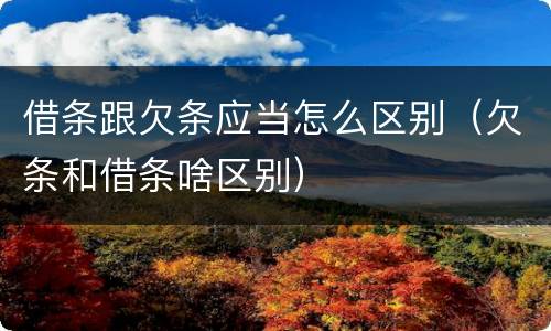 借条跟欠条应当怎么区别（欠条和借条啥区别）