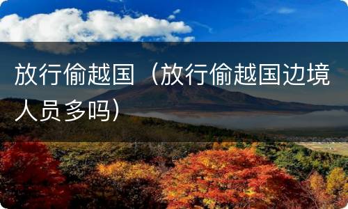 放行偷越国（放行偷越国边境人员多吗）