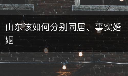 山东该如何分别同居、事实婚姻