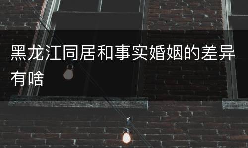 黑龙江同居和事实婚姻的差异有啥
