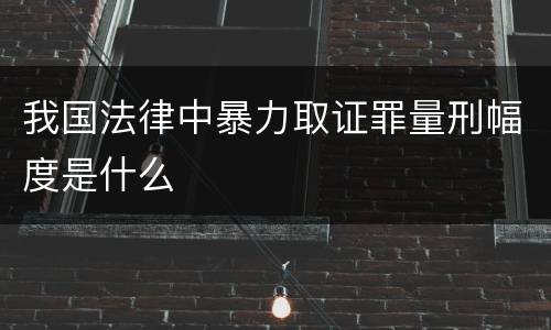 我国法律中暴力取证罪量刑幅度是什么