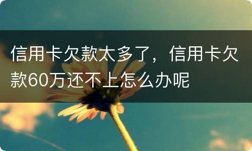 信用卡欠款太多了，信用卡欠款60万还不上怎么办呢