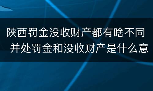 陕西罚金没收财产都有啥不同 并处罚金和没收财产是什么意思