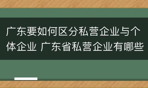 广东要如何区分私营企业与个体企业 广东省私营企业有哪些