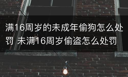 满16周岁的未成年偷狗怎么处罚 未满16周岁偷盗怎么处罚