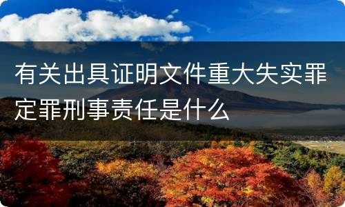 有关出具证明文件重大失实罪定罪刑事责任是什么