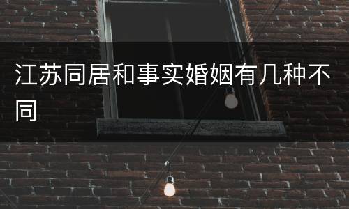 江苏同居和事实婚姻有几种不同