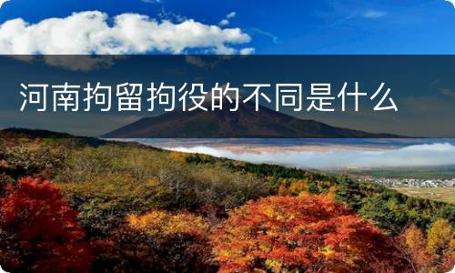 河南拘留拘役的不同是什么