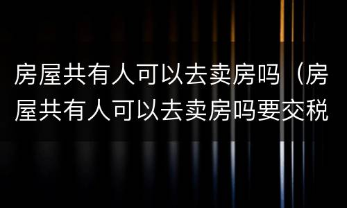 房屋共有人可以去卖房吗（房屋共有人可以去卖房吗要交税吗）