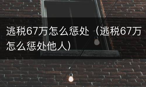逃税67万怎么惩处（逃税67万怎么惩处他人）