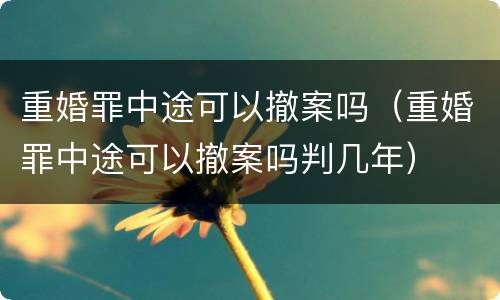 重婚罪中途可以撤案吗（重婚罪中途可以撤案吗判几年）